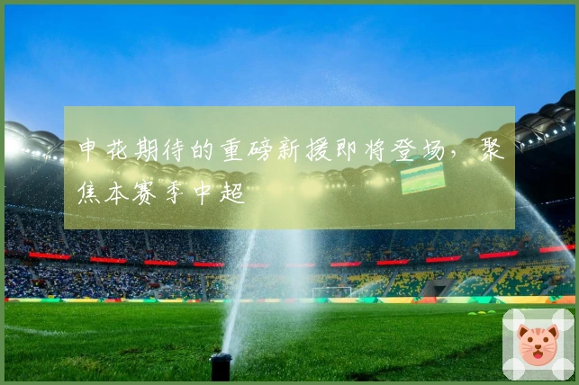 申花期待的重磅新援即将登场，聚焦本赛季中超