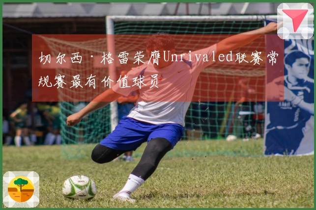 切尔西·格雷荣膺Unrivaled联赛常规赛最有价值球员